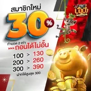 สมาชิกใหม่ 30% by สล็อต ปังปัง